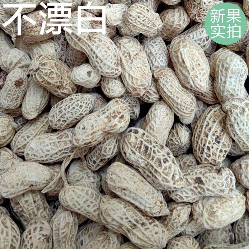 塩漬け乾燥茹で落花生、天日干しオリジナル白天日塩味、殻付き天日干し、広龍岩落花生スナック|undefined