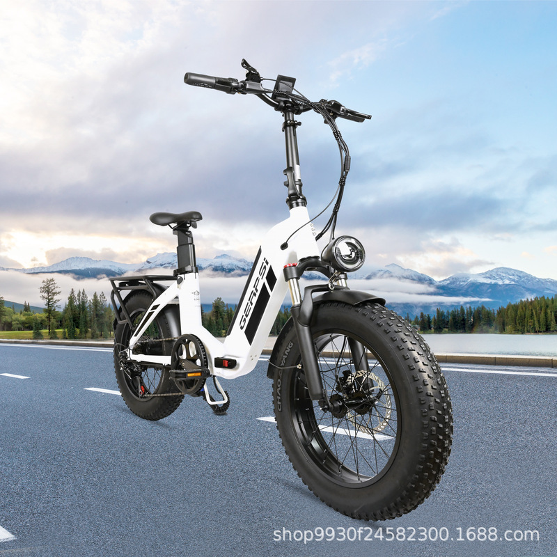 20inch Fat Tire Folding Electric Bike for Outdoor Riding, Beach Off-Road, Long-Range Lithium Battery Electric Assisted Bicycle 20inch Fat Tire Folding Electric Bike for Outdoor Riding, Beach Off-Road, Long-Range Lithium Battery Electric Assisted Bicycle