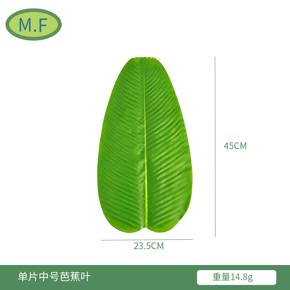 中号芭蕉叶尺寸图