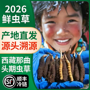 2026���r�x�ݶY����������Ұ���x�����r���x�ĲݶY��Ұ�����x�Ĳ�