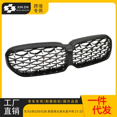 Suitable for 21-23 Bmw 5 Zhongwang