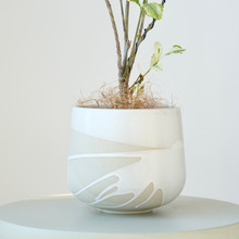 北欧简约陶瓷桌面花盆创意个性蝴蝶兰套盆水培釉面绿植盆栽陶盆
