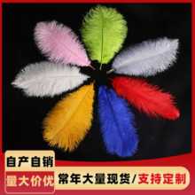 限时促销彩色30-35CM鸵鸟羽毛鸵鸟毛婚庆羽毛花束装饰头饰品装饰