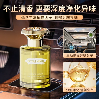 Car Perfume Aromatherapy Indoor: Car Perfume Aromatherapy