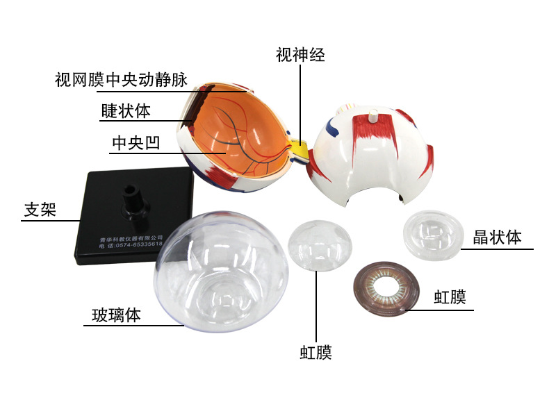 O1CN014nLTqr2Kk6XirrZNE_!!3578