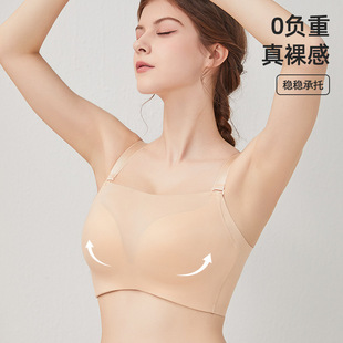�����@С����Ů�ļ�ȫ�ֱ����´������o������ȫ�����@��͸������