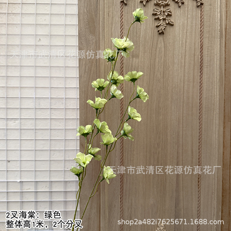 2갈래의 베고니아 - 녹색