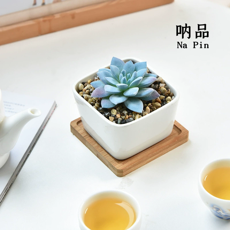 Na Pin Внешняя торговля Экспорт Керамический мясистый цветочный горшок Белый фарфоровый квадратный горшок Современные простые бытовые маленькие украшения мясистый цветочный горшок