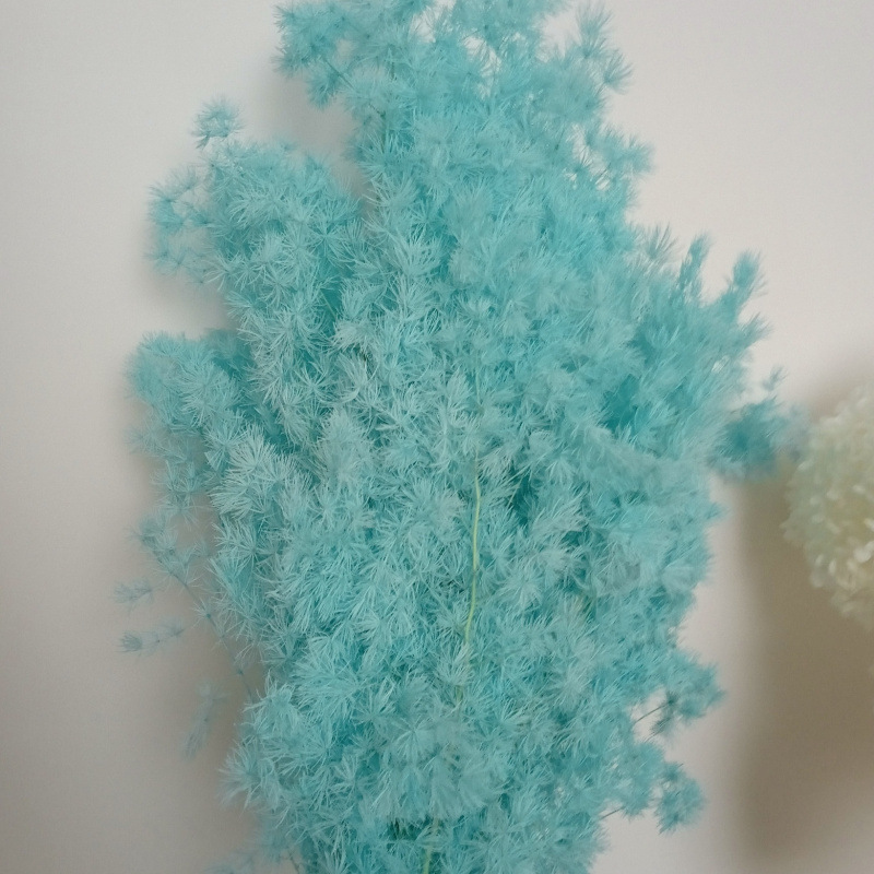 라이트블루(85-105g)-드라이플라워백