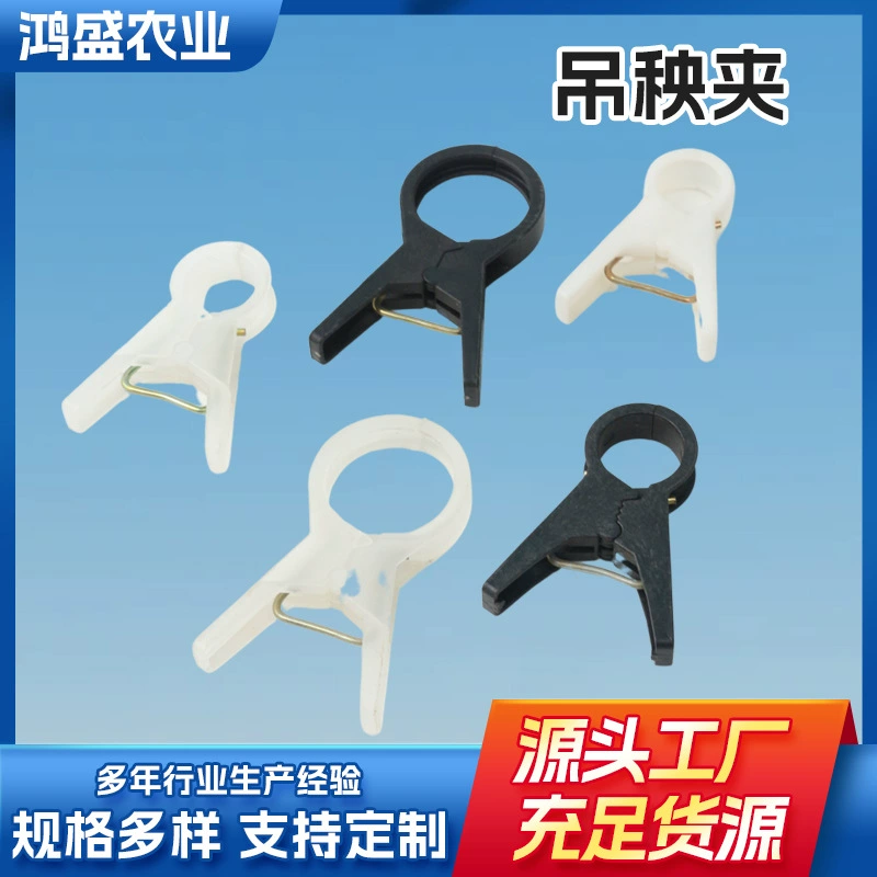 Висячие саженцы в теплице дыни и фруктовые виноградные лозы