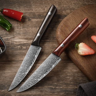 in stock Foreign Trade Export Damascus Steel Fruit Knife Meat Knife Melon and Fruit Peel Household Cross-border Steak Knife