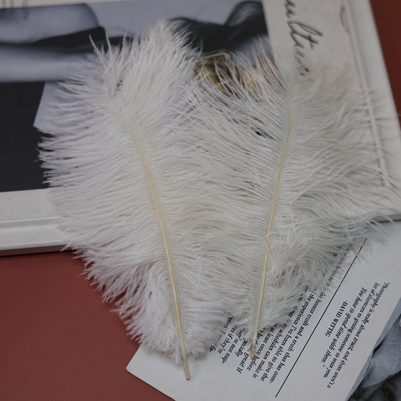 Plumas de avestruz bodas blancas de avestruz guía de plumas accesorios de fotos adornos rojo rosado en línea grandes plumas decoración