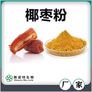 椰枣粉 水溶性椰枣提取物  食品级浓缩果蔬粉 斯诺特生物源头工厂