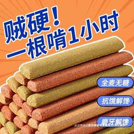 小棒代餐耐嚼钢筋全麦蔗糖饼干抗饿低脂全麦磨牙棒成人饱腹无巨硬