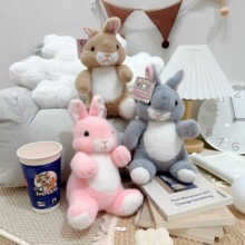 ���˽�����ë�q���С��������ż���Ѓ�ͯ˯�X�Y�����l