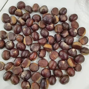 2025ɽ�|���r�������ڼӹ�����60-80/KG80-100/KG�Ж|����