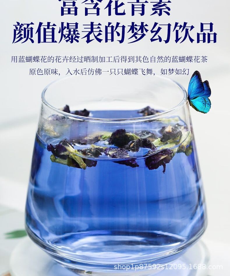 Butterfly Pea Flower Tea Lan Hu Die 30 Teabags 70g Dried Blue Floral Herbal Tea for Cold Brew in use