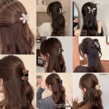 2026�¿�С̖ë�q���~�A���K�͹ŷ���ץ�A�������|С�ɰl�A�l�