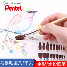�ձ�Pentel��ͨZBS1�R��ë�A�^ˮ�۱�ϩˮ�ʮ��P�L��ܛë�P���P