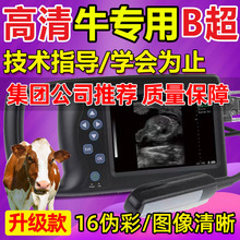 高清牛用彩色b超机猪用比超仪牛养殖羊B超兽用必超便携母猪测孕仪