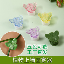 �¿���������� �G�}�̶��� ����ֲ��̶��A�� ������늾��ռ{�A