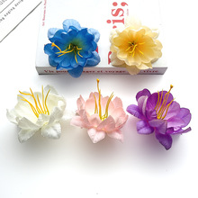 ����ѩɏ���� �l�����hdiy���b��zӰ��c���߼ٻ�����ĵ���ջ�