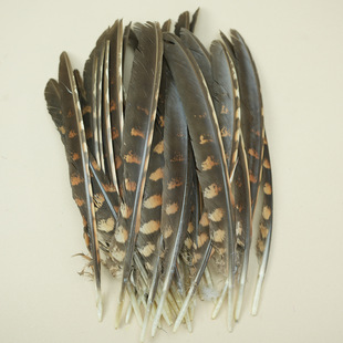 ���l����ë��ȻҰ�u��ë������b��ˇƷ�b�diy�ֹ�������ݵ���