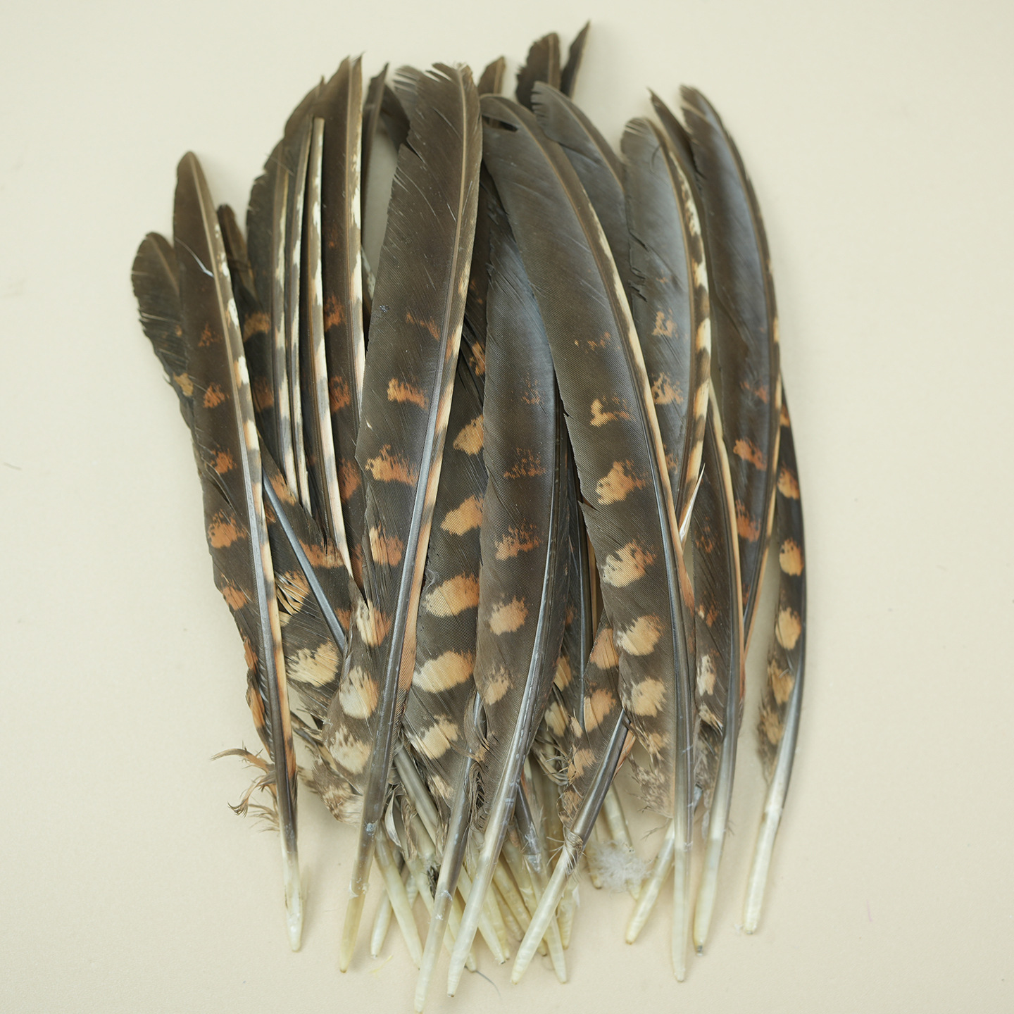 Plumas pequeñas al por mayor de plumas de faislo natural decorativas plumas artesanías bricolaje materiales hechos a mano divertidos accesorios de joyería de palo de gato