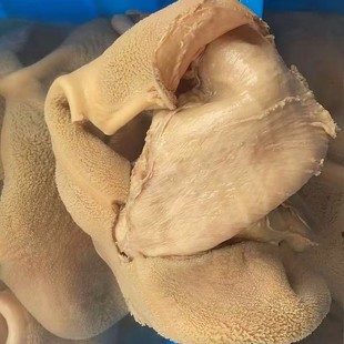 ȫ��ţ��Ǿŷ���ţ�����û��ʳ���Sţţ��ţ�s���Ʒ�K�������l