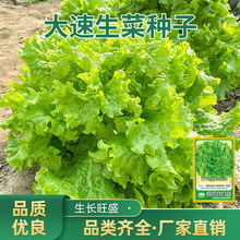 ˷NӴȫlļNͥԺ̨߲ԷN˷N