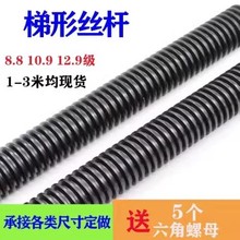 TR12-T50�ߏ������ο۽z��t�����z�U���L�Ӵִ����ȫ�ݼy�z�U