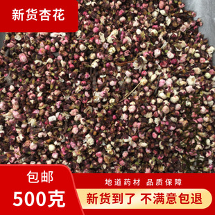 ��؛�ӻ�  �ӻ��ɻ� ���ӻ� �ӻ����ٻ��� 500�˰��]��؛��؛