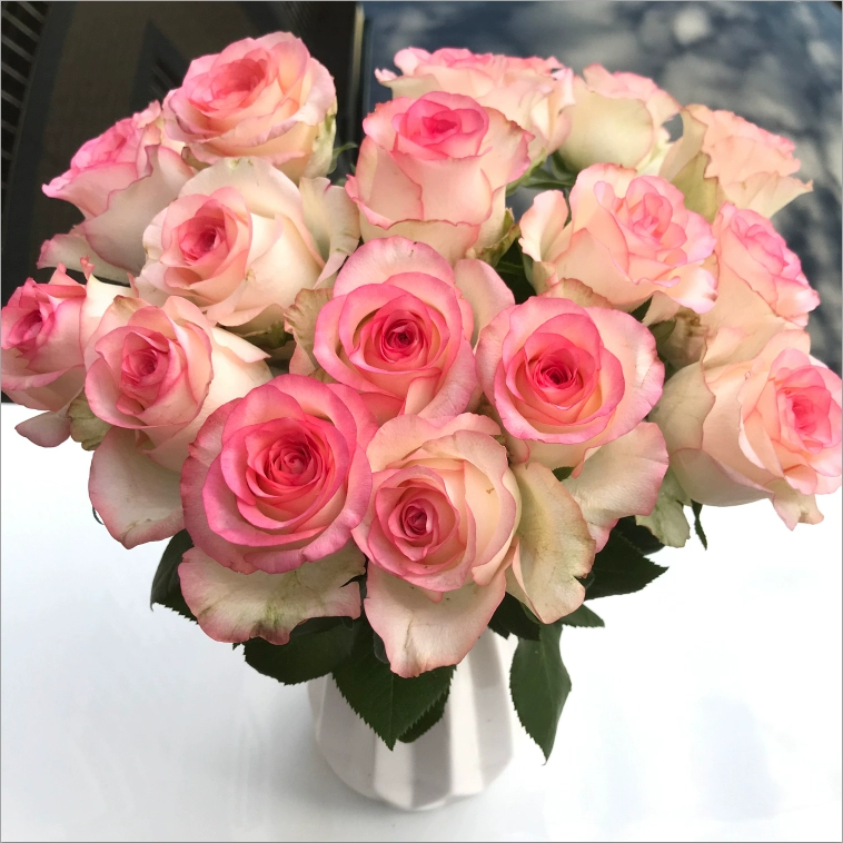 Цветы Юньнань База Прямые розы Букет Экспресс Город Аиша Домашний День рождения 520 Подарок на День Святого Валентина