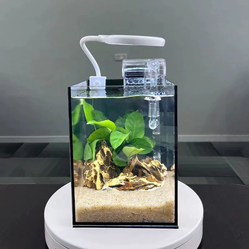 Ландшафтный настольный стеклянный аквариум для офисного стола, миниатюрный экологический резервуар, ведро, маленькое, без замены воды, ультра-белый, трансграничный, цельный, минимальная партия