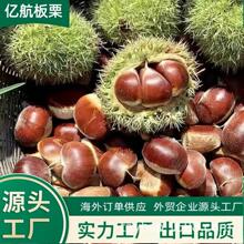 ̩ɽ���������F؛ �������� �L�ں��� һ40-60/30-40/40-50KG