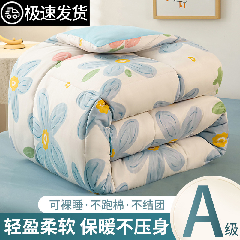 Quilt Winter Quilt Thickeneded Warm Quilt Universal Quilt Core Dormitory Single Student Winter Quilt 2025 New Style