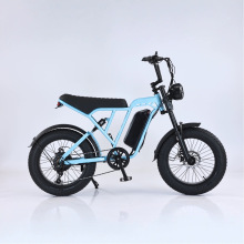 ebike늄܇4.0݆̥W20̥ɳѩԽҰ܇