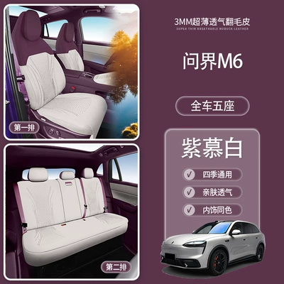 Wenjie M6 Special Modelə uyğun (Original) oturacaq örtükləri - side-wenjie-m6-five-seats-26-models-main-leg-zi-mubai-wenjie-m6