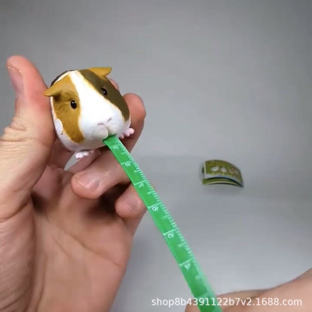 2025-03-01 20:30:41.jpg