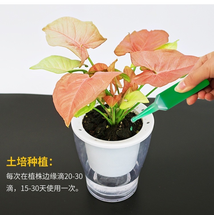 IMG_1231(20200520-171531)