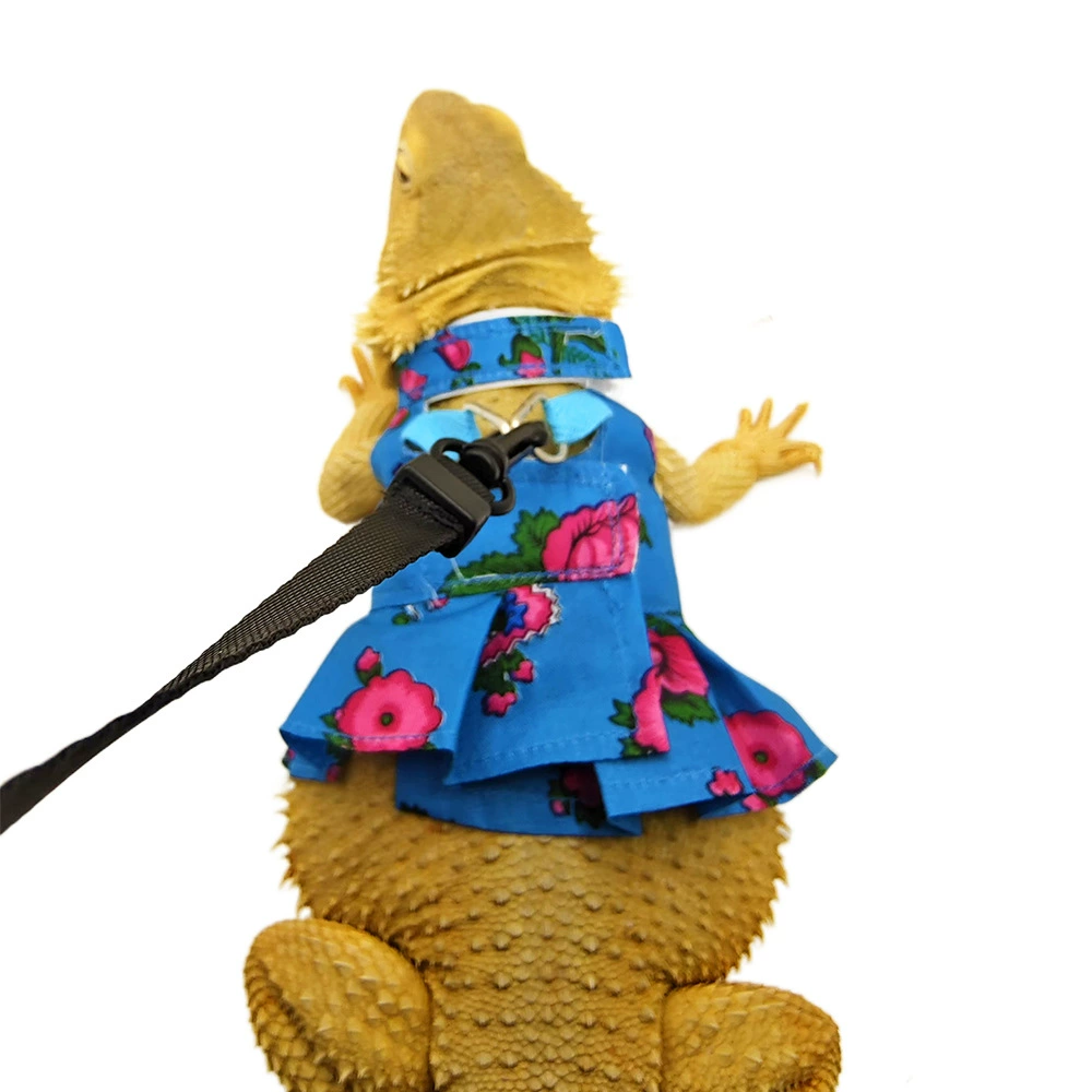 Лезвие ящерицы веревочные домашние животные выходят на буксировку ползучие товары для животных на открытом воздухе Носить регулируемую юбку ящерицы