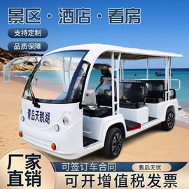 电动观光车;其他电动车;高尔夫球车