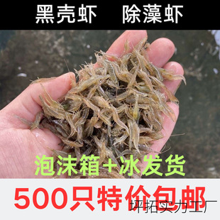 �ښ��r�����r�������~����r���^�p��ˮ���]���幤���r�~�׳���