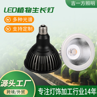 E27 Root Plant Lamp Indoor Gardening Planting Full Spectrum Fire Ritual Stone Lotus Coloring Par Lamp Fern Fill Light