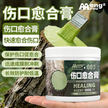 ֲ���ľ�������ϸ�����辰��֦��֦�䘶��Ƥ�޽��пډTĨ���τ�