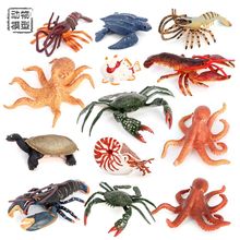 仿真海洋生物模型八爪鱼龙虾螃蟹甲鱼鹦鹉螺儿童认知塑胶玩具摆件