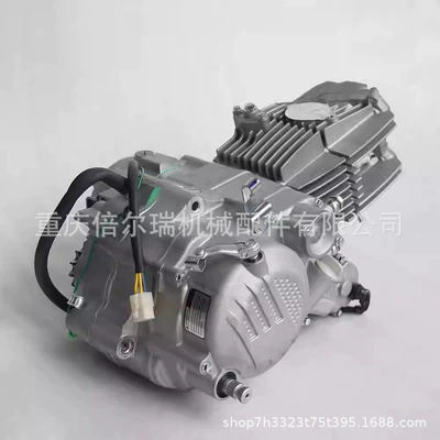 Engine 190Cc Zongshen Engine Zs190Cc 190Cc Motorcycle Zs1P62Yml-2 (Engine assembly)