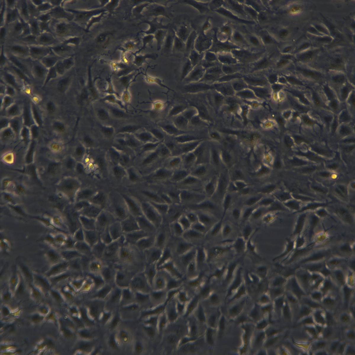 2025-11-05 15:26:05.jpg