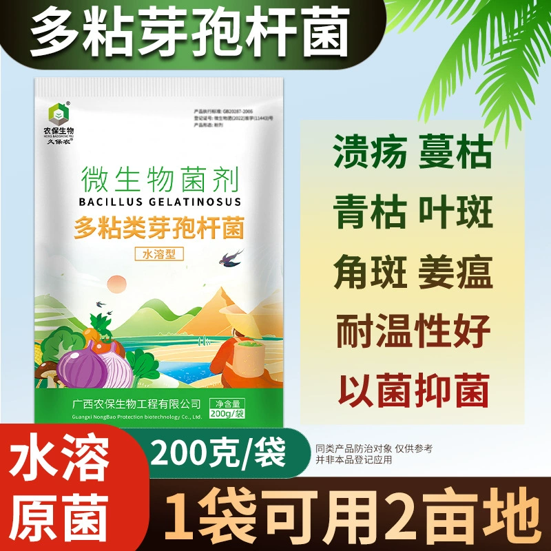 10 кг/шт. Полисковидные культуры Bacillus