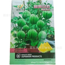 盆栽西瓜黄瓤西瓜种子花皮黄心黄壤黄肉西瓜籽阳台地栽易种水果